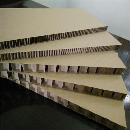 Paper Honeycomb Panel (1)