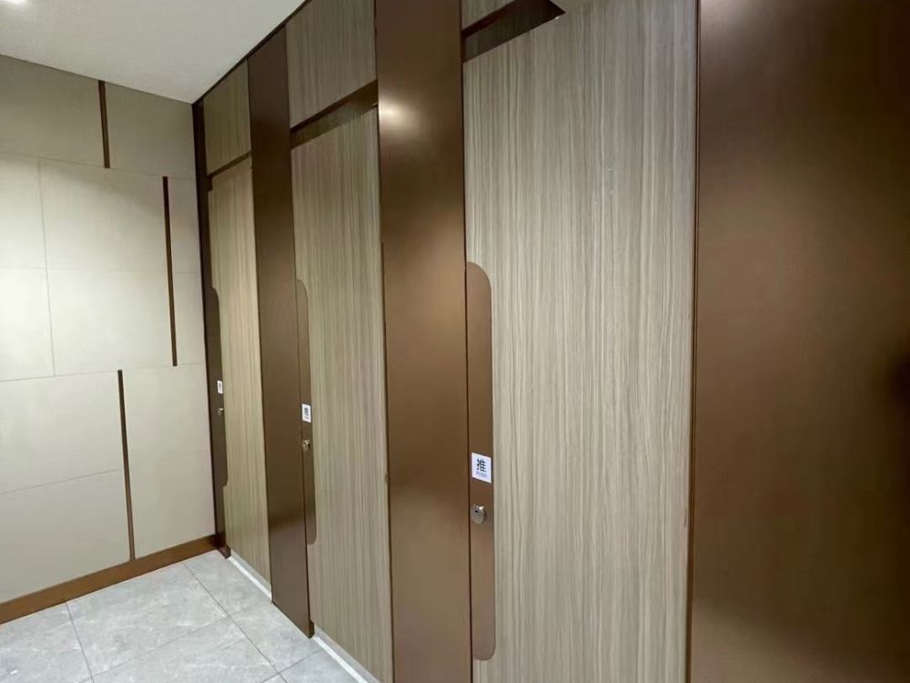 https://www.chenshoutech.com/wc-partition-panel-with-custom-surface-available-product/