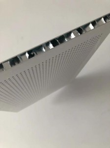 Aluminum Honeycomb Perforated Acoustic Panel (4)