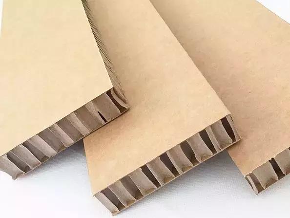 Paper Honeycomb Panel  (1)