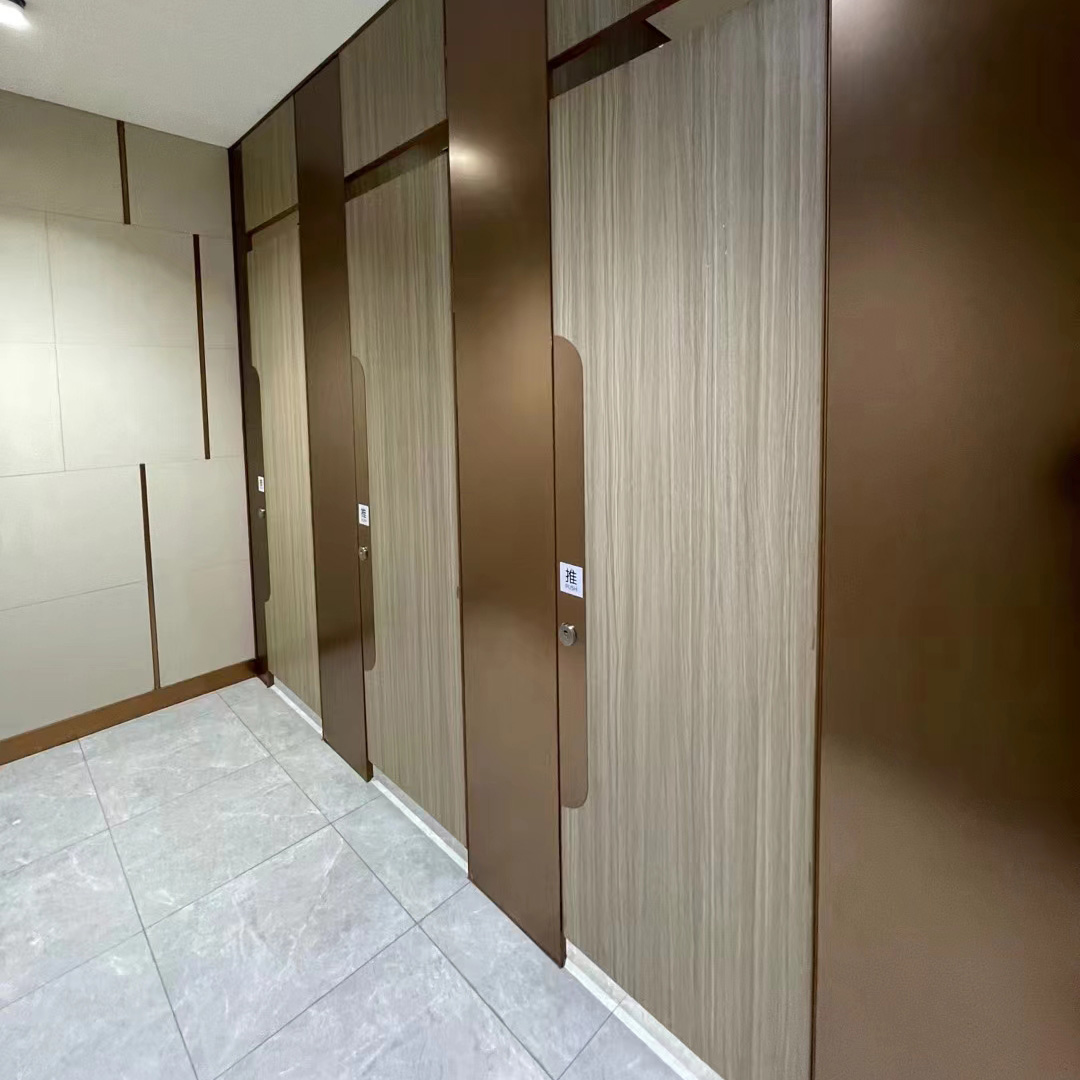 Toilet partition panel with custom surface available (2)